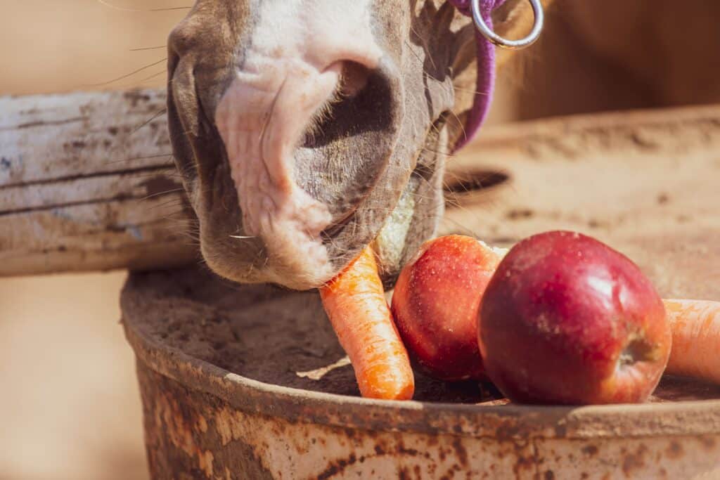 A horse eats various fruits and vegetables from a basket